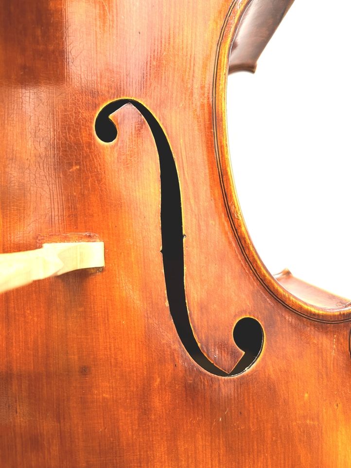 【調弦済⭐️】バイオリンAntonio Labo アントニオ・ラボ 1/2サイズ Amazon | D'Addario ダダリオ ベース弦 ハーフラウンド/ピュア