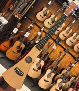 Backpacker Steel String | 【クロサワ楽器店オンラインショップ】いい
