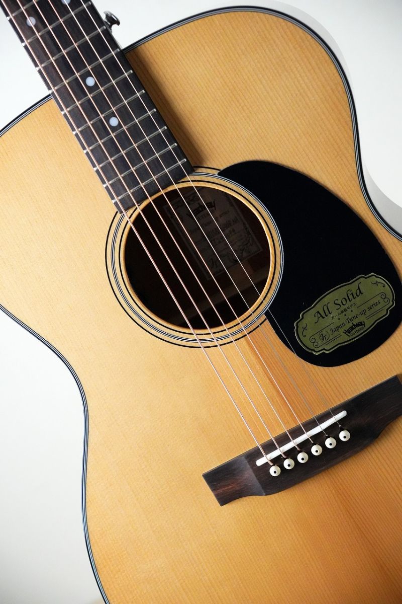 HF-V115ASE/AGED | 【クロサワ楽器店オンラインショップ】いい