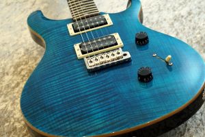 Paul Reed Smith(PRS)、青 系のエレキギター検索結果一覧 | 【クロサワ 