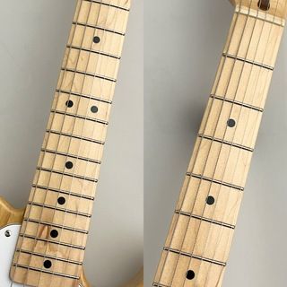 希少限定品！FENDER TL71 GOLDBURST ASH
