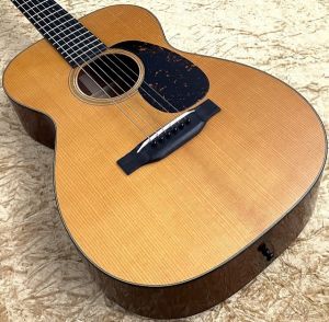 SEAGULL by M.Shiozaki 解体新書 ｜ Ikebe MUSIC INFORMATION