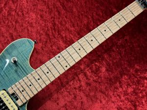 Peavey hp2 純正ハードケース付き 1b789c76-1b4e-4edc-92a5-