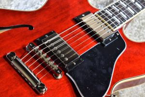 ★超激レア高級仕様BURNY ES-345モデル バリトンスイッチ SKBケース 楽天市場】【ギグバッグもついてくる！Wケースキャンペーン