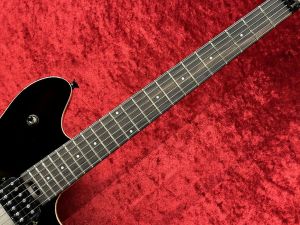 Wolfgang Special, Ebony Fingerboard, Silverburst | 【クロサワ楽器
