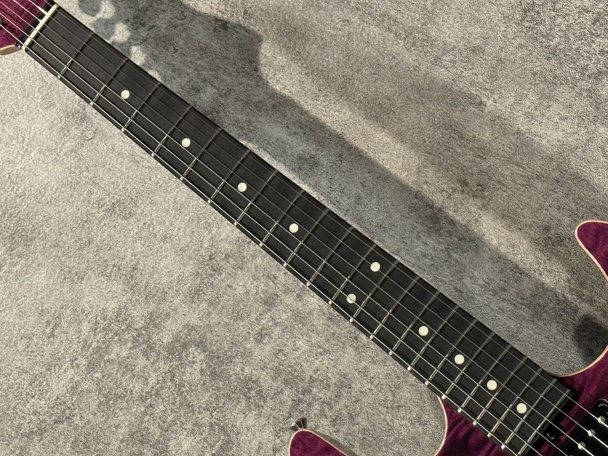 Seeker S/HH Trans Purple | 【クロサワ楽器店オンライン