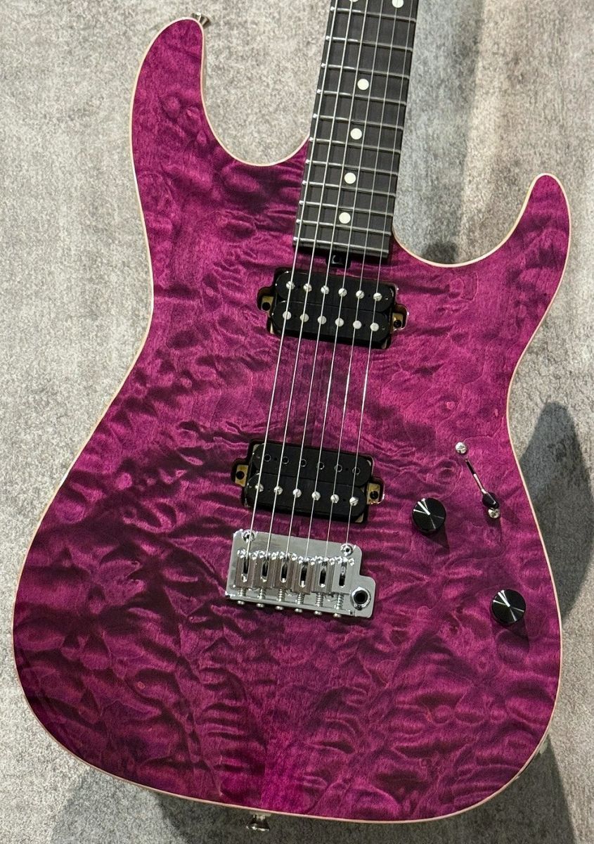 Seeker S/HH Trans Purple | 【クロサワ楽器店オンライン