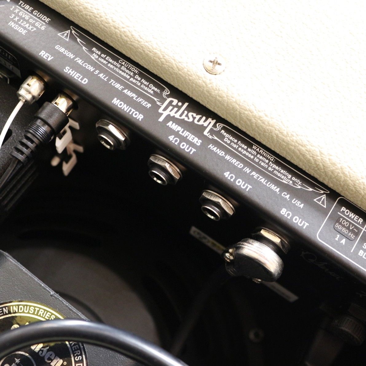 Falcon 5 1x10 Combo | 【クロサワ楽器店オンラインショップ】いい楽器