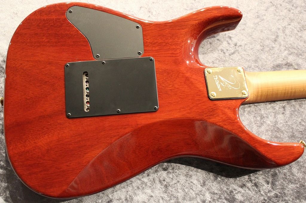 Custom Order DST-Pro24 5A Exotic Flame/H.Maho Amber Burst #032869