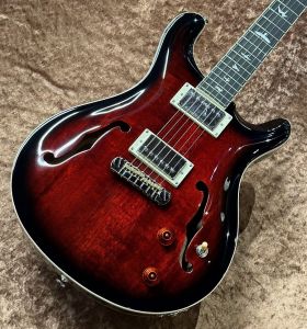 SE Hollowbody Standard -Fire Red Burst- | 【クロサワ楽器店 