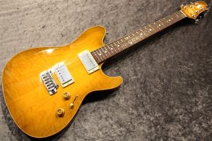 Custom Order DS496SR ECM-40th H.Maho Green Lemon Burst