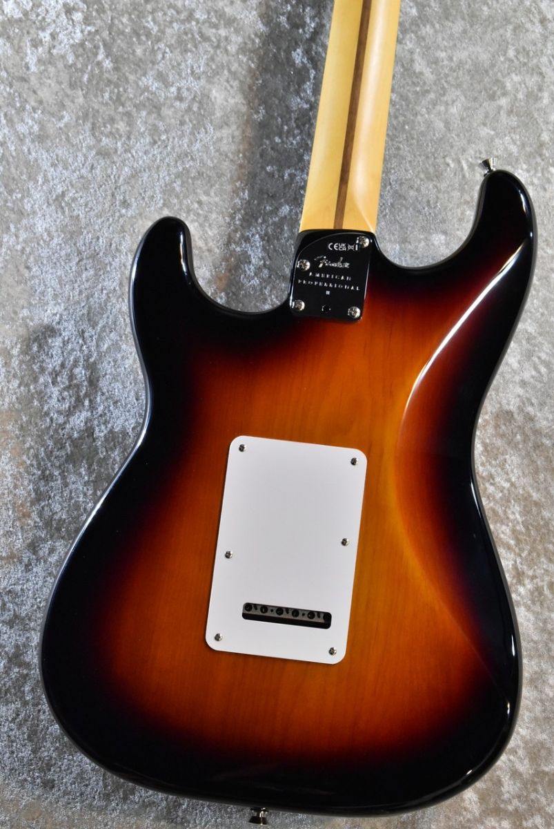 Fender Stratocaster2T サンバースト Fender American Professional II Stratocaster Anniversary 2