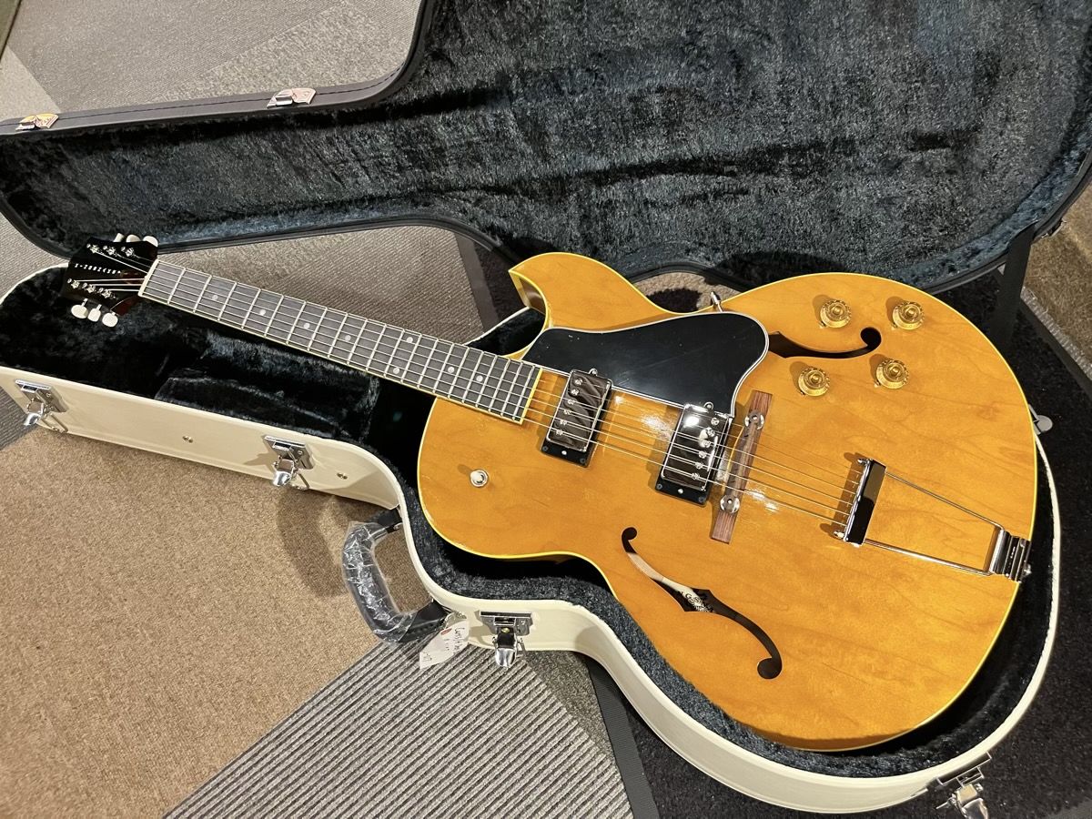 King Snake Curtis H Deep Body Amber Natural CHD-017 | 【クロサワ 