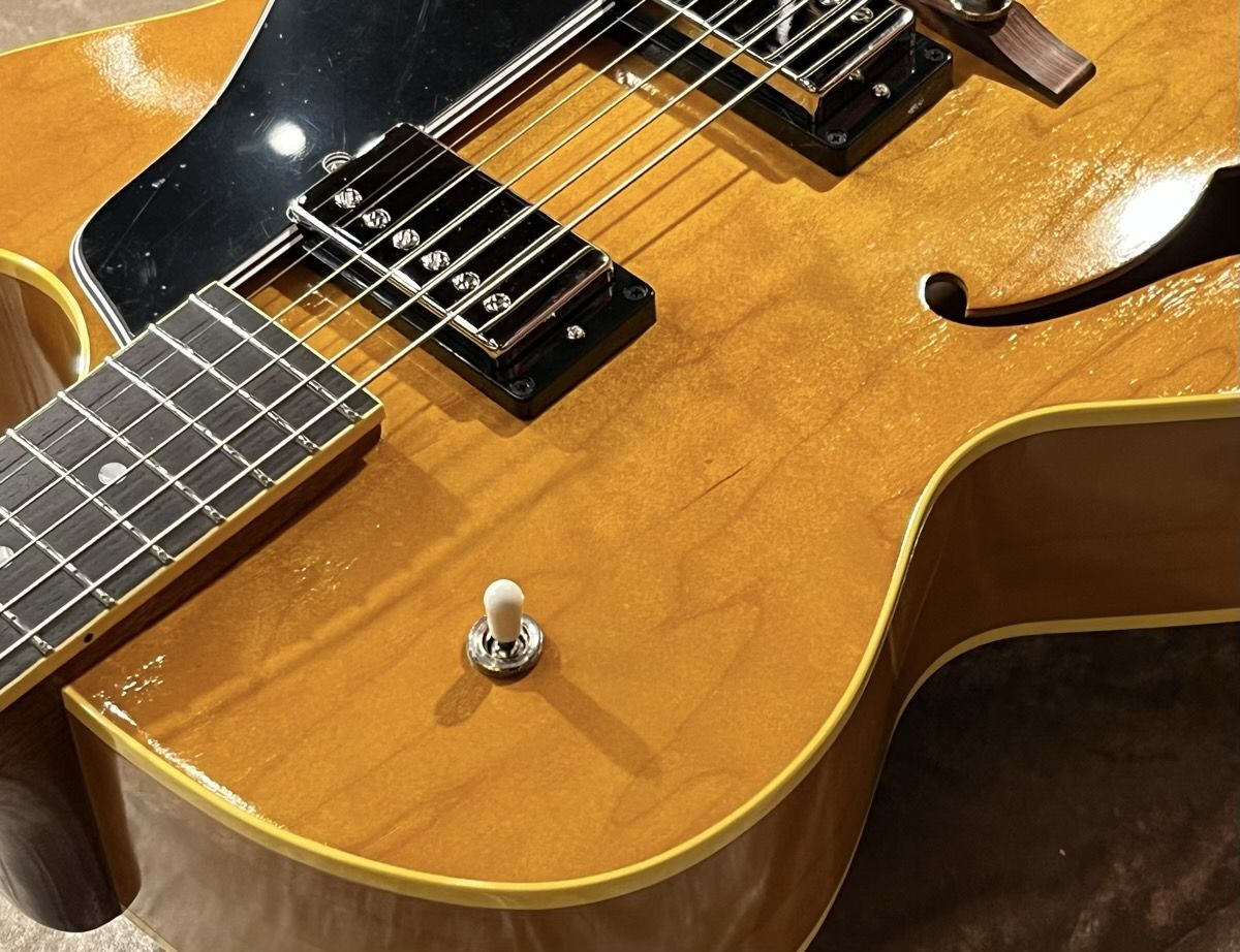 King Snake Curtis H Deep Body Amber Natural CHD-017 | 【クロサワ 