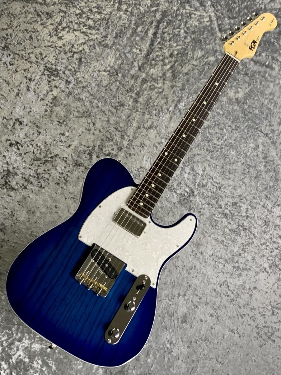 エレキギターFGN NTE210