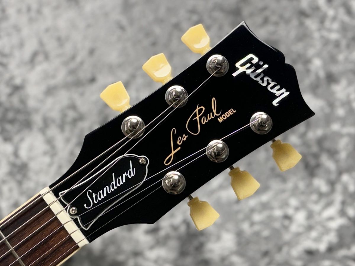 Les Paul Standard '50s P-90 Gold Top | 【クロサワ楽器店