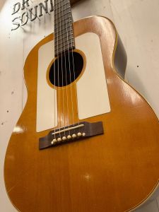 F-25 ~Folk Singer~ #354756 | 【クロサワ楽器店オンライン