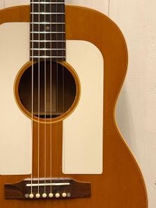 F-25 ~Folk Singer~ #354756 | 【クロサワ楽器店オンライン