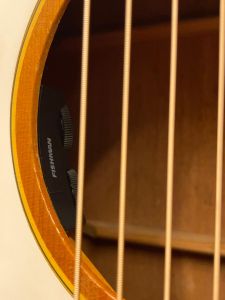 F-25 ~Folk Singer~ #354756 | 【クロサワ楽器店オンライン