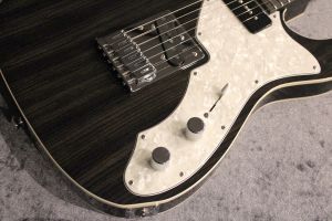 freedom custom guitar BLACK PEPPER 美品 Brush eight / 【SOLD】FREEDOM CUSTOM GUITAR RESEARCH Black