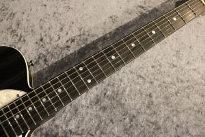 ギター FreedomCustomGuitarResearch black pepper FREEDOM CUSTOM GUITAR RESEARCH BLACK PEPPER F.T. 新作の入荷