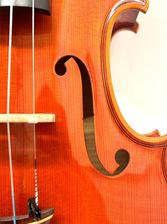 Francesco Bissolotti 2003年 (フランチェスコ・ビソロッティ