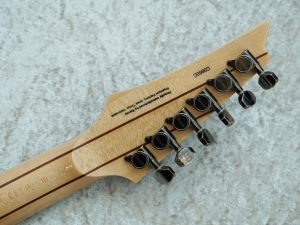 ブランド雑貨総合 IBANEZ RG870RWZ アメリカ/ヨーロッパ販売モデル 美品（RG870QMZ ギター