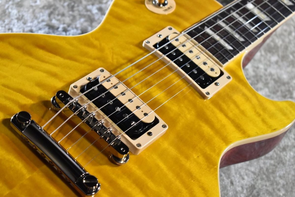 Slash Les Paul Standard Appetite Amber #206540100 | 【クロサワ楽器