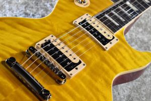 Slash Les Paul Standard Appetite Amber #206540100 | 【クロサワ楽器