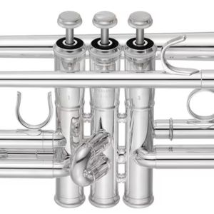 珍楽器　ライオンズローア　自作品です！　引取りor納品限定商品 珍楽器 ライオンズローア 自作品です！ 引取りor納品限定商品