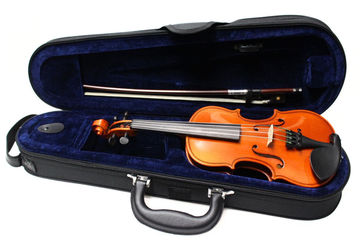 弦楽器 Reghin 1/10 Violin Reghin 1/10 Violin