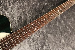ギター FREEDOM / TE Green Pepper Freedom Custom Guitar Research