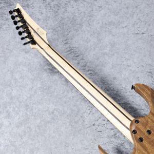 Ibanez RGDR4327【7弦】【NEMOPHILA 葉月使用モデル】