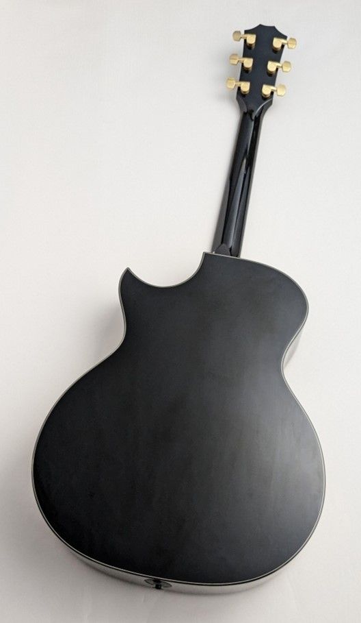 2008-HR-LTD Hot Rod Hotei Signature | 【クロサワ楽器店オンライン 