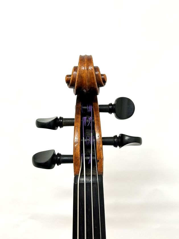 バイオリン　VAENCIA 未使用 5st Electric Violin | 【クロサワ楽器店オンラインショップ