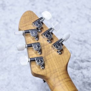 ポプラバール ドロップトップ PB4 Poplar Burlをトップ材に採用したSNAPPER-CTM 発売 | ESP GUITARS