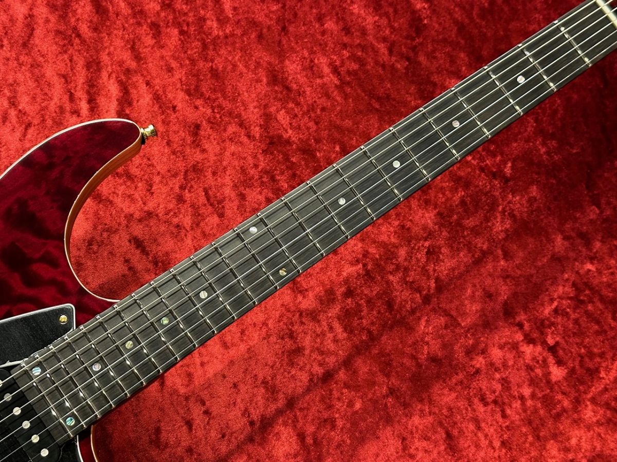 Aquila Elite 6 -Trans Dirty Red- | 【クロサワ楽器店