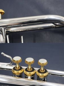 180ML37SP/GP【s/n:394***】 | 【クロサワ楽器店オンラインショップ