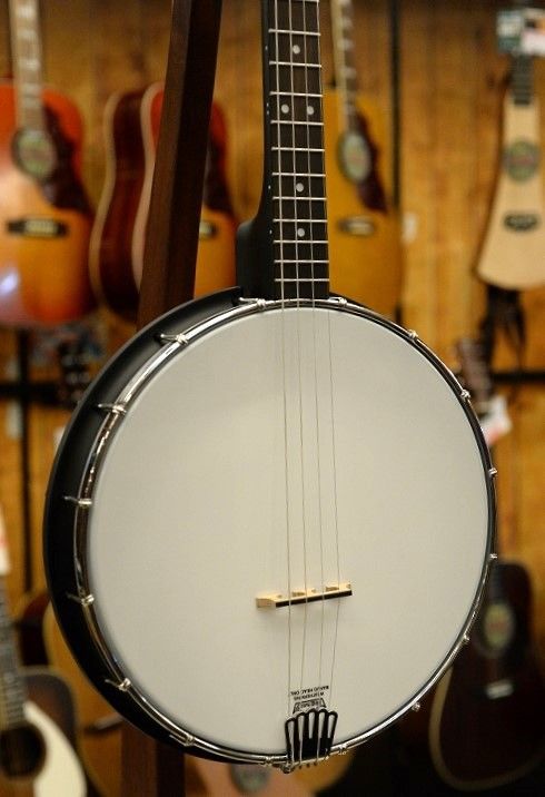 【美品】Gold Tone　AC-4IT　アイリッシュテナーバンジョー Amazon.com: Gold Tone, 4-String Banjo, Right (AC-4IT