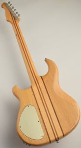 RS-750 Natural 3.27kg | 【クロサワ楽器店オンラインショップ】いい