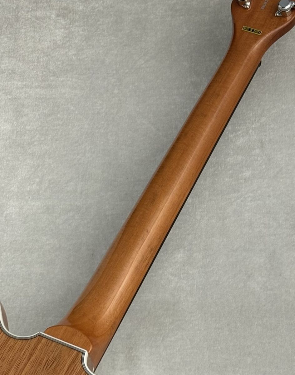 Brian May Special ~Natural~ 3.15kg #BHM232760 | 【クロサワ楽器店