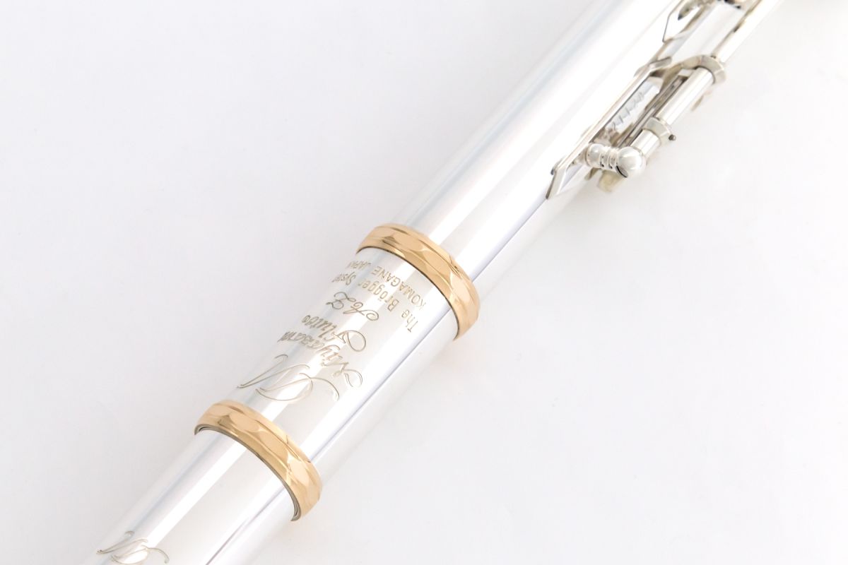 55弦バンドゥーラ　Bandura バンドーラ（弦楽器の図鑑）