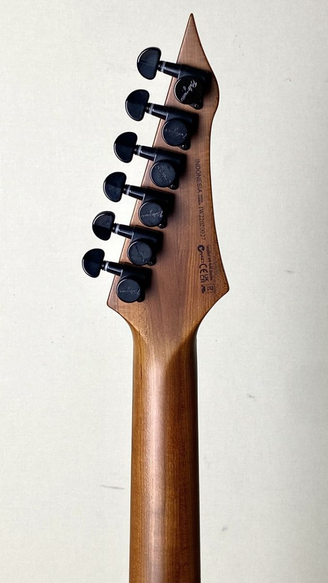 その他 Diablo Standard with Evertune Bridge -Satin Trans White