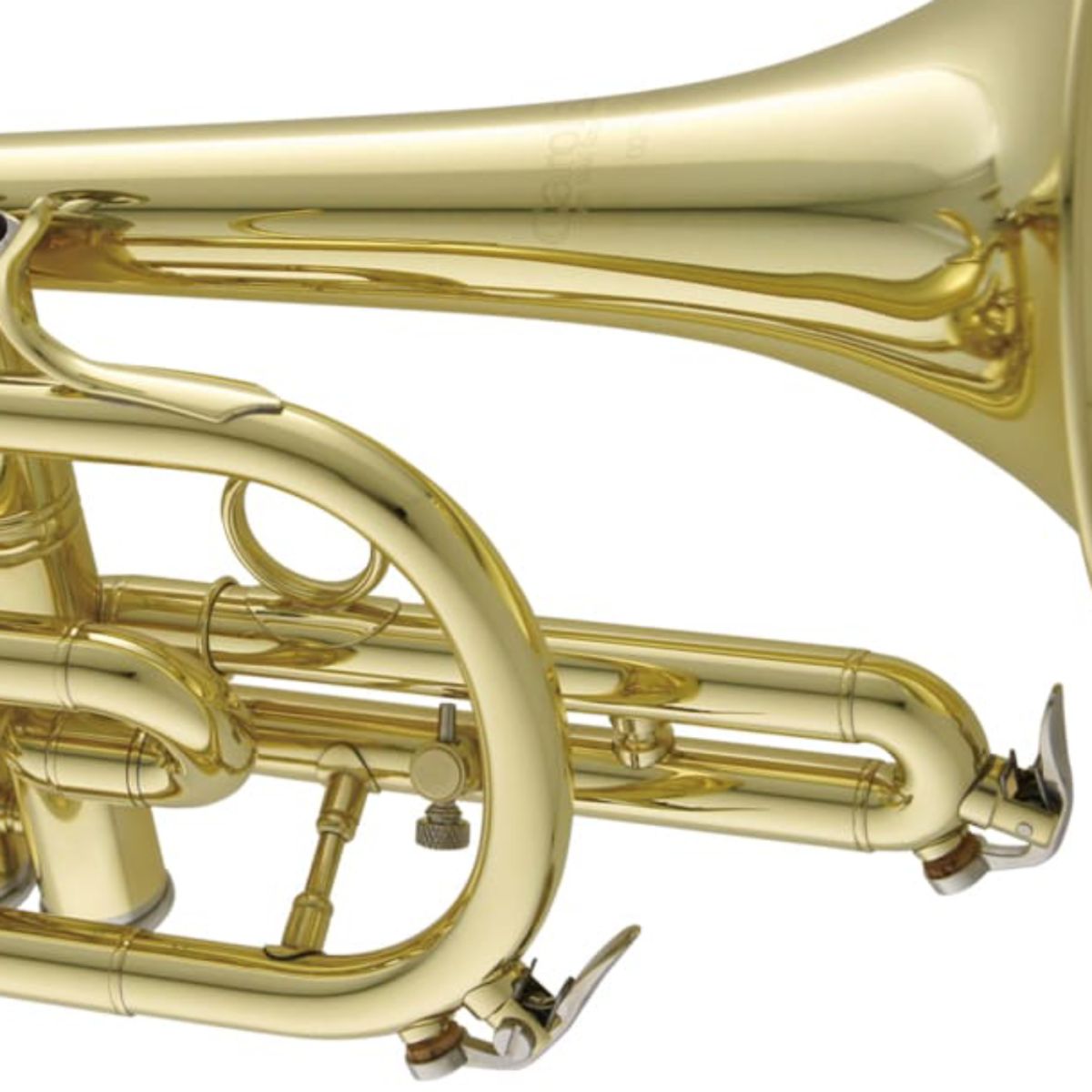 N3000 CL 【新品】 | 【クロサワ楽器店オンラインショップ】いい楽器と