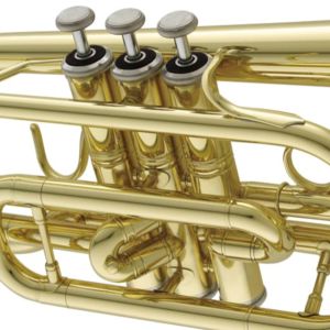 N3000 CL 【新品】 | 【クロサワ楽器店オンラインショップ】いい楽器と