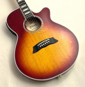TSP178AC FCB | 【クロサワ楽器店オンラインショップ】いい楽器