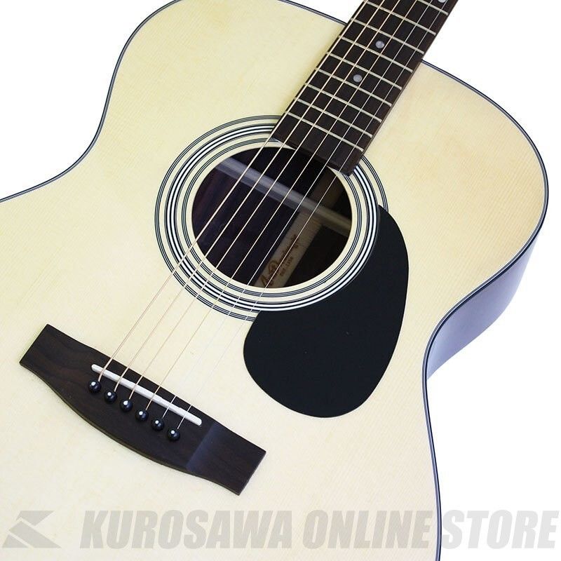 AIR STAGE アコースティックギター ASF-13 BK ブラック Amazon.co.jp: Aria Dreadnought AF-201 TS Acoustic Guitar