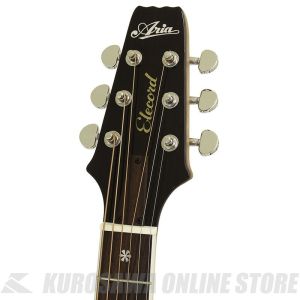 APE-100 N | 【クロサワ楽器店オンラインショップ】いい楽器とのいい