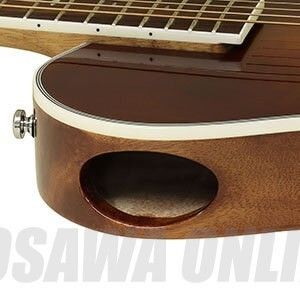 APE-100 SBL | 【クロサワ楽器店オンラインショップ】いい楽器とのいい