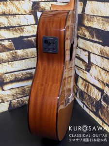 コルドバ エレガット仕様 C5 SB 純正ギグバッグ付 Cordoba コルドバ STAGE Traditional Cedar エレクトリック